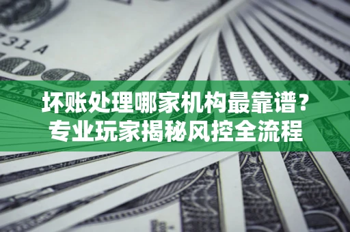 武汉坏账处理哪家机构最靠谱？专业玩家揭秘风控全流程