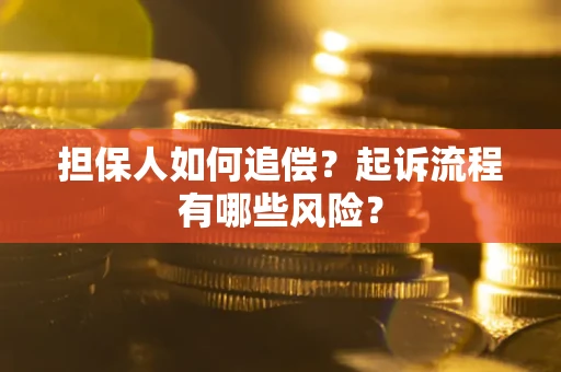 武汉担保人如何追偿？起诉流程有哪些风险？