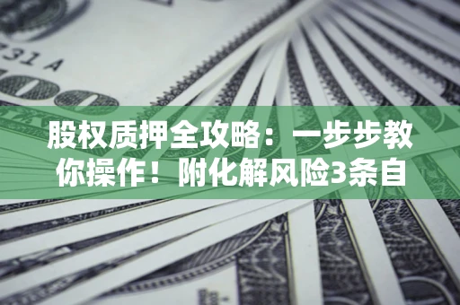 武汉股权质押全攻略：一步步教你操作！附化解风险3条自救法则