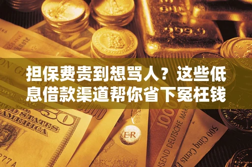 武汉担保费贵到想骂人？这些低息借款渠道帮你省下冤枉钱