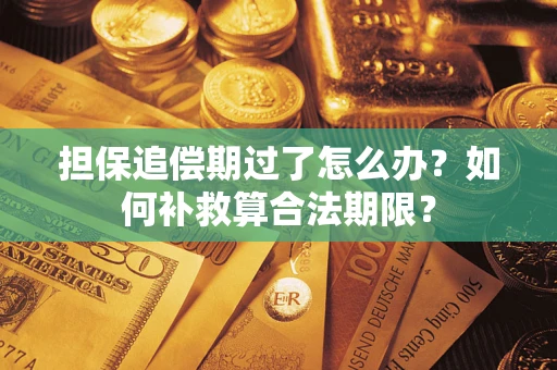 武汉担保追偿期过了怎么办？如何补救算合法期限？