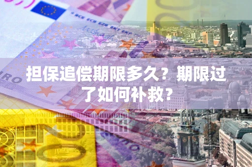 武汉担保追偿期限多久？期限过了如何补救？
