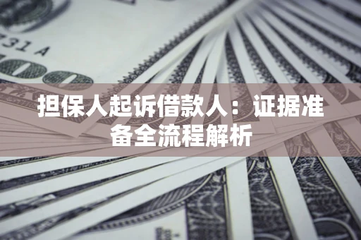 武汉担保人起诉借款人：证据准备全流程解析
