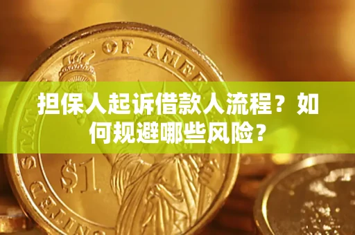 武汉担保人起诉借款人流程？如何规避哪些风险？