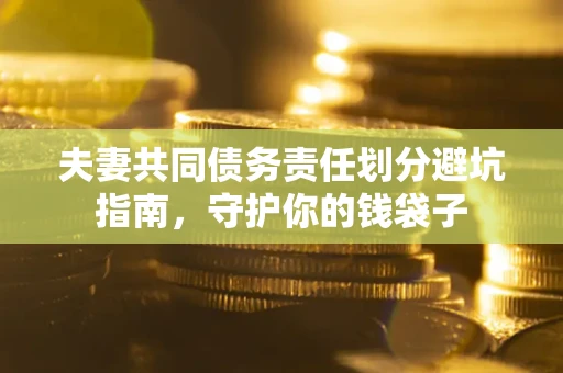 武汉夫妻共同债务责任划分避坑指南，守护你的钱袋子